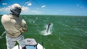 https://sanctuaries.noaa.gov/news/may18/blue-star-fishing-guides-florida-keys.html